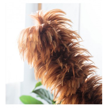 鸡毛掸子家用 不掉毛...