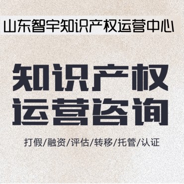 智宇知识产权运营中心...